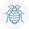 Bed Bug Extermination In Dorking