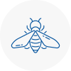 Bee Nest Removal Dorking