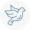 Bird Prevention Dorking