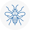 Dorking Hornet Nest Removals