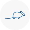 Mice Exterminators In Dorking