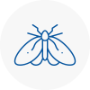Moth Control Specialists In Dorking