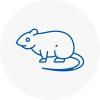 Rat Control Dorking