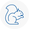 Dorking Rodent Removals