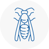 Dorking Wasp Nest Removal